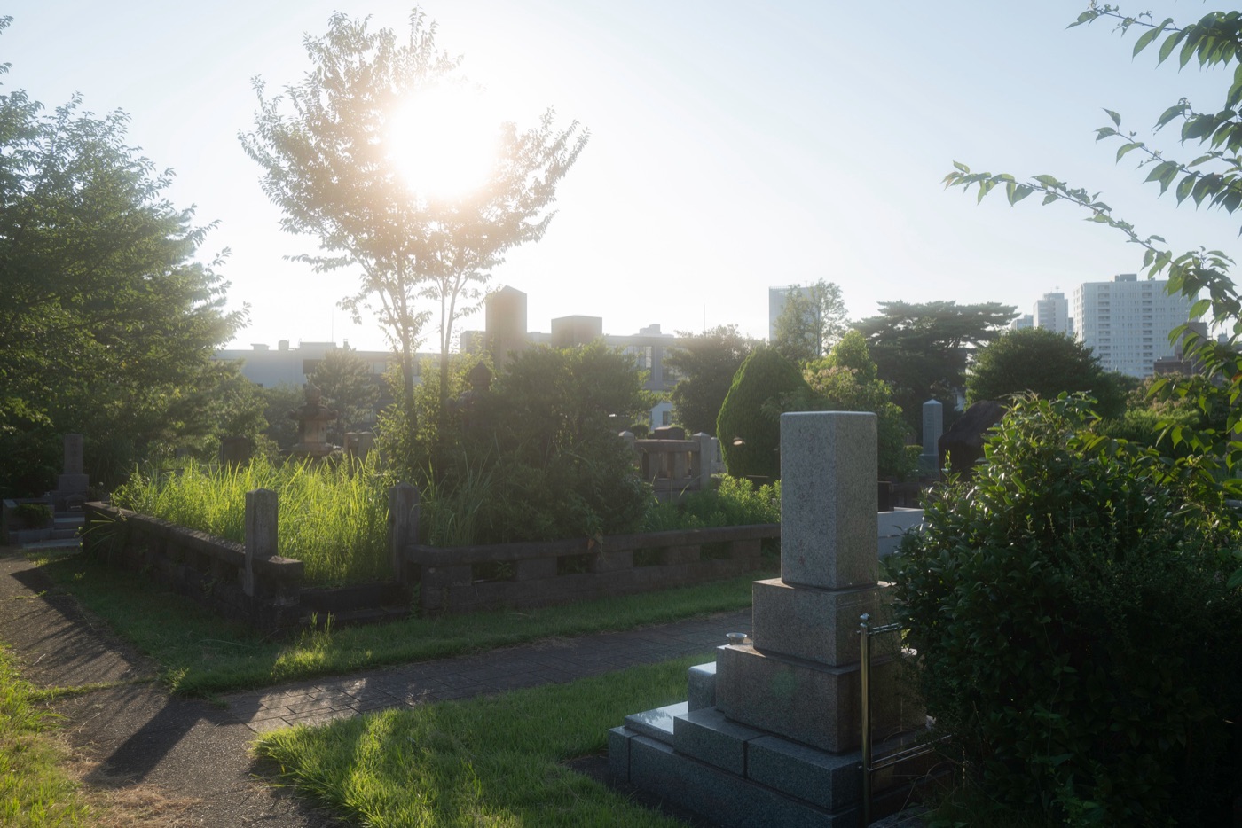 aoyama cemetery tokyos historic resting place photo 3