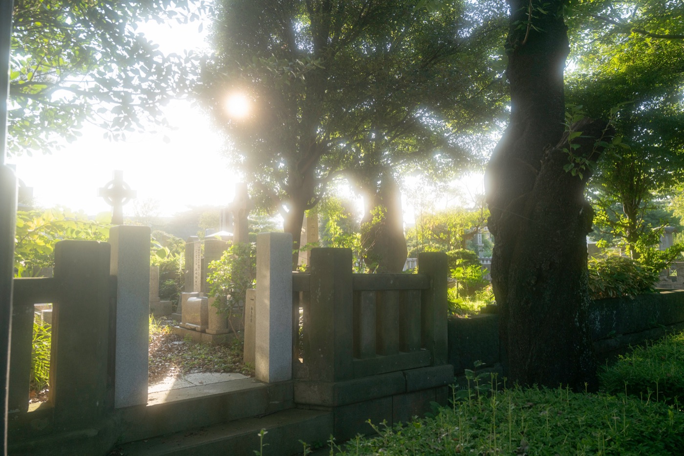 aoyama cemetery tokyos historic resting place photo 4