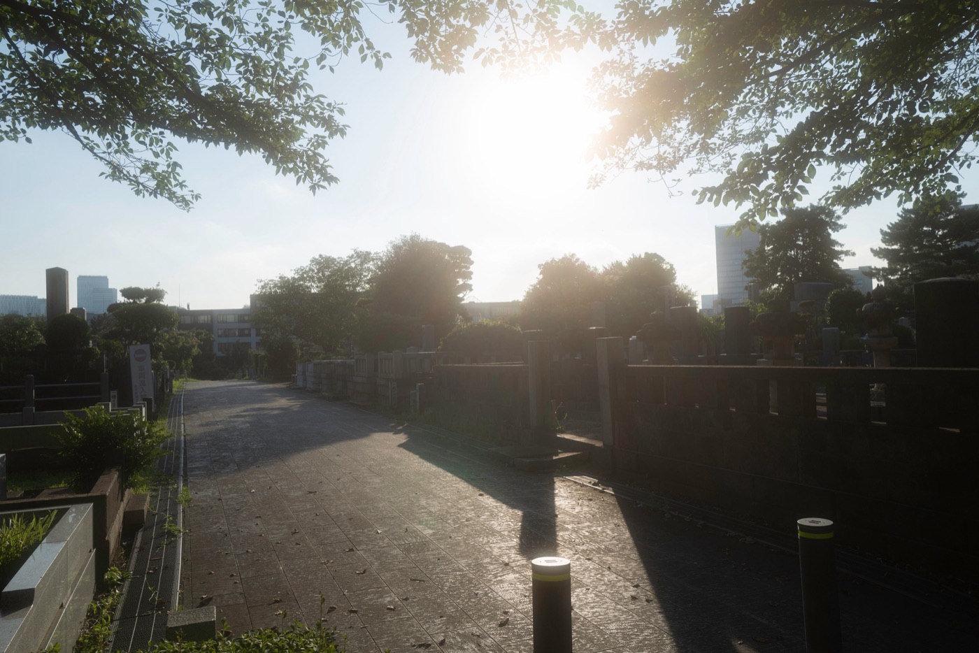 aoyama cemetery tokyos historic resting place photo 5