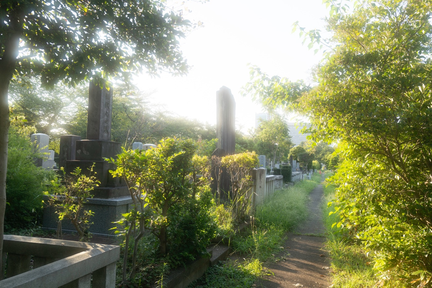 aoyama cemetery tokyos historic resting place photo 6