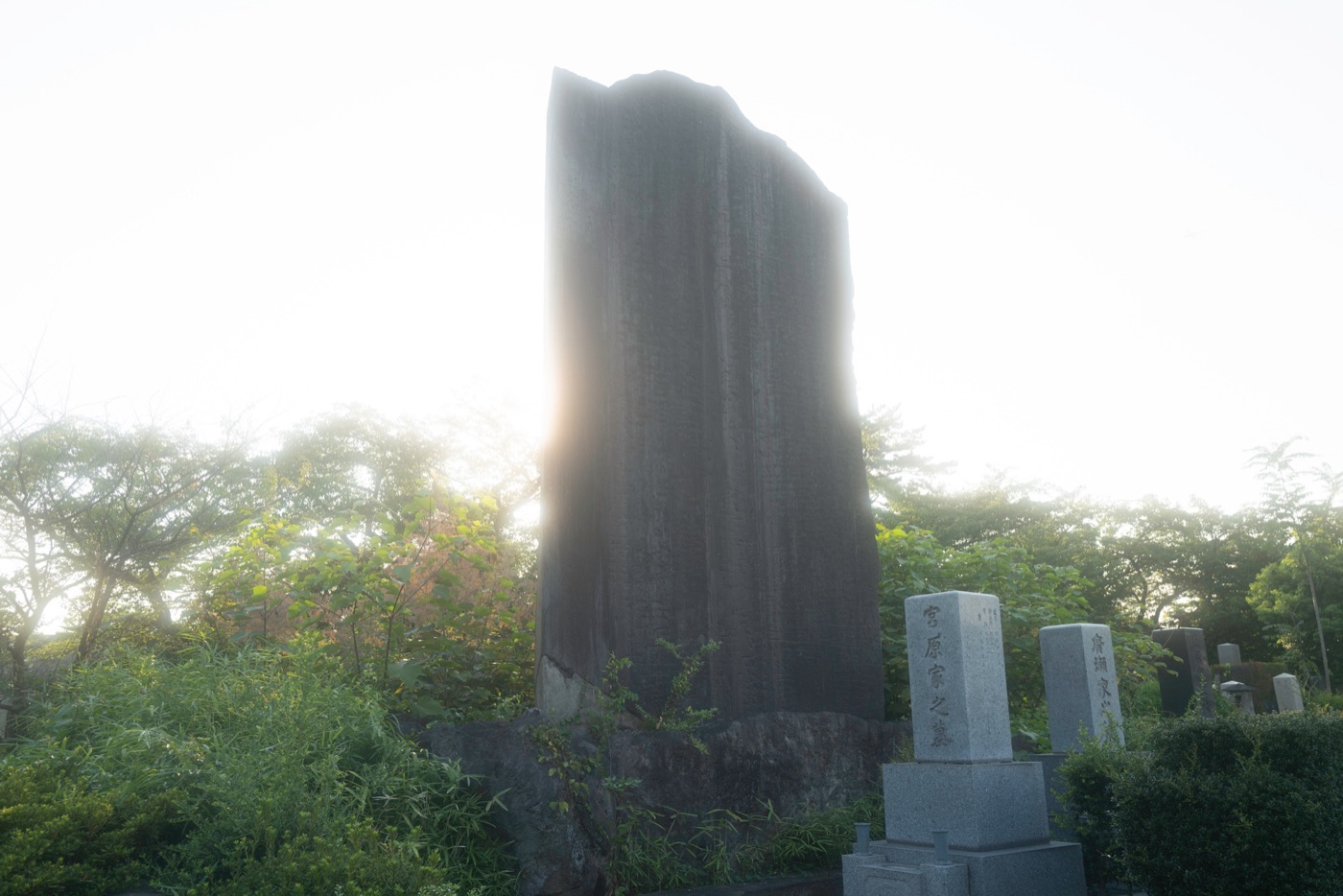 aoyama cemetery tokyos historic resting place photo 8