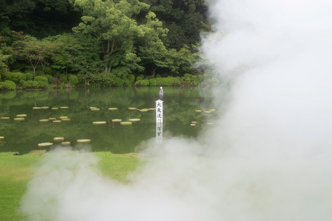 beppu hot springs and the hells of oita photo 10