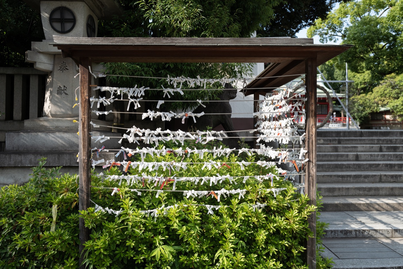 fukagawa hachiman festival tokyos water splashing tradition photo 2