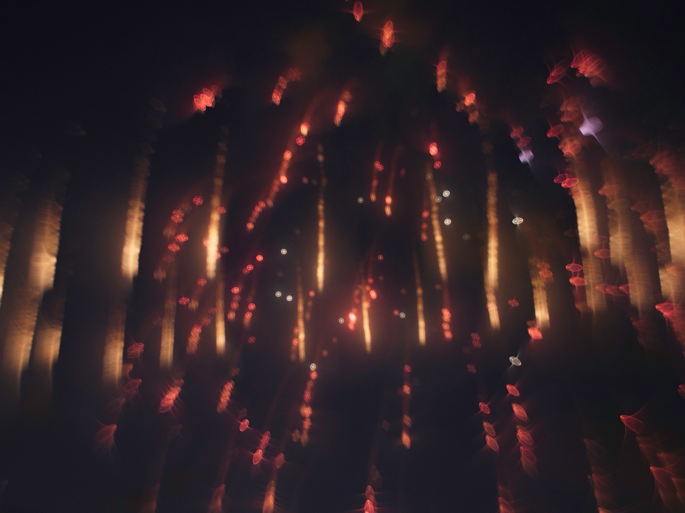 hanabi fireworks itabashi tokyos summer spectacle photo 2