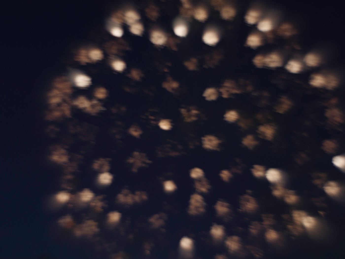 hanabi fireworks itabashi tokyos summer spectacle photo 4