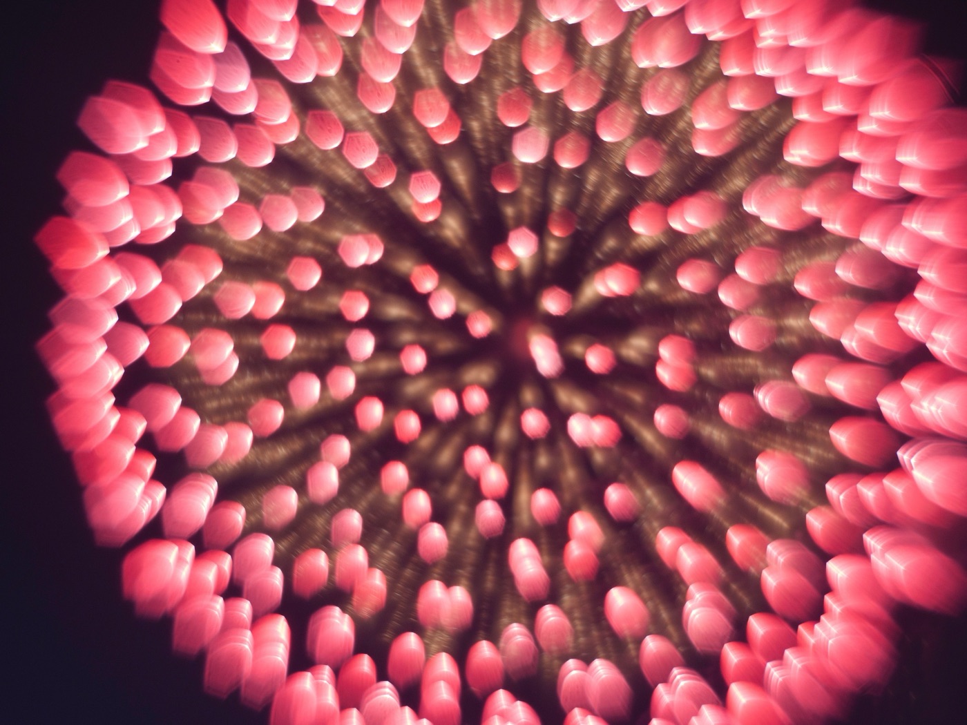 hanabi fireworks itabashi tokyos summer spectacle photo 13
