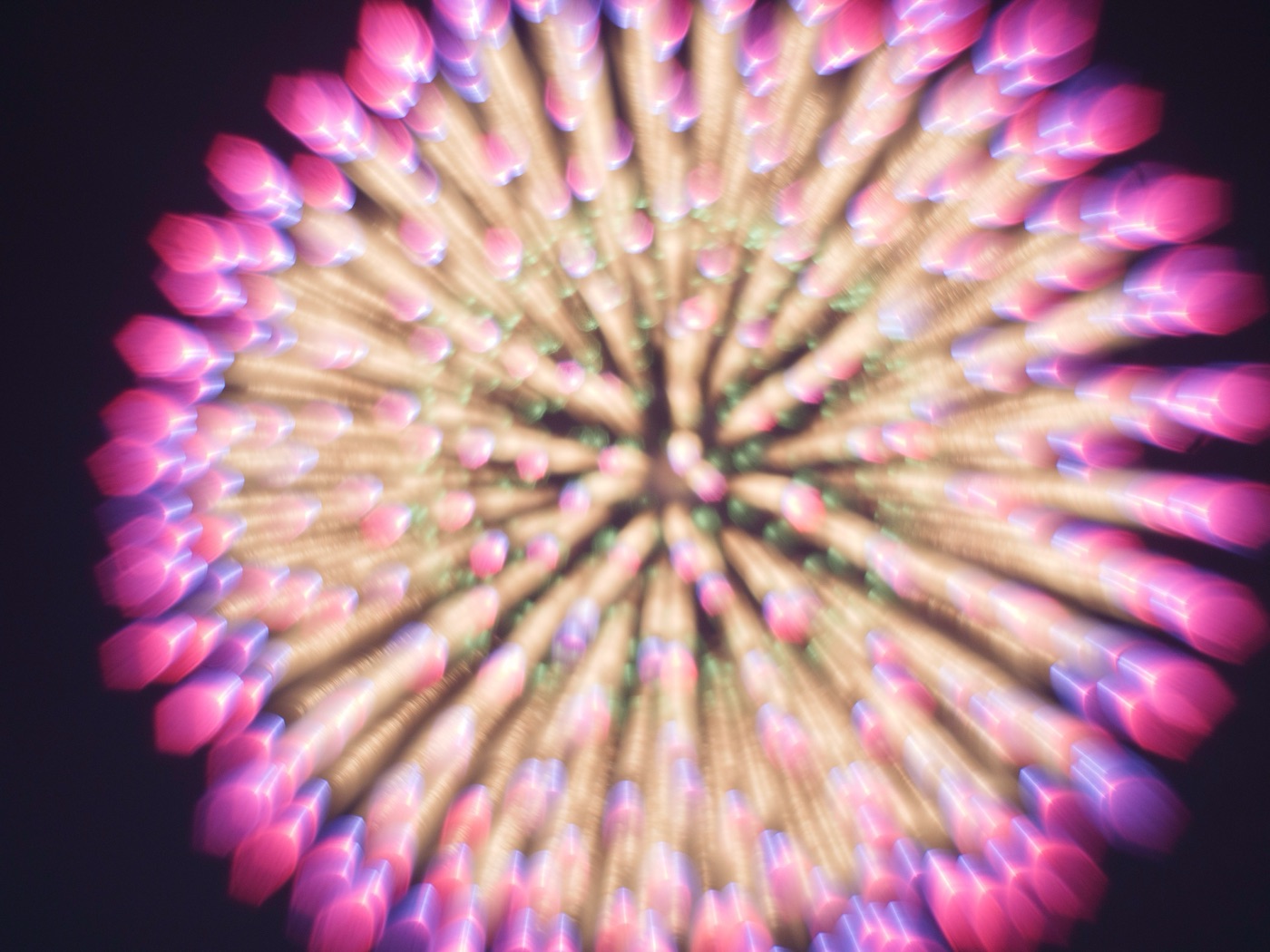 hanabi fireworks itabashi tokyos summer spectacle photo 15