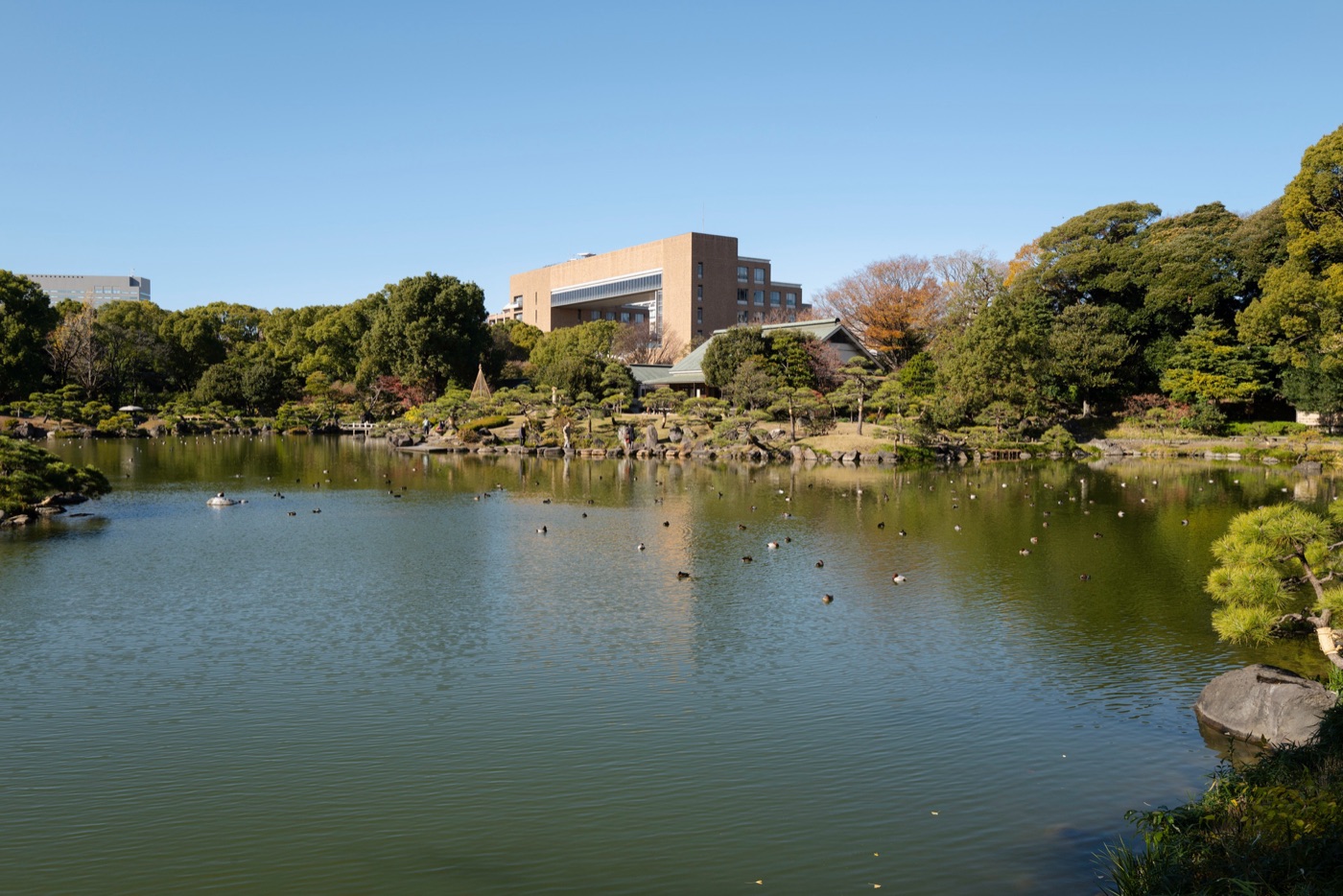 kiyosumi gardens tokyos scenic retreat photo 6