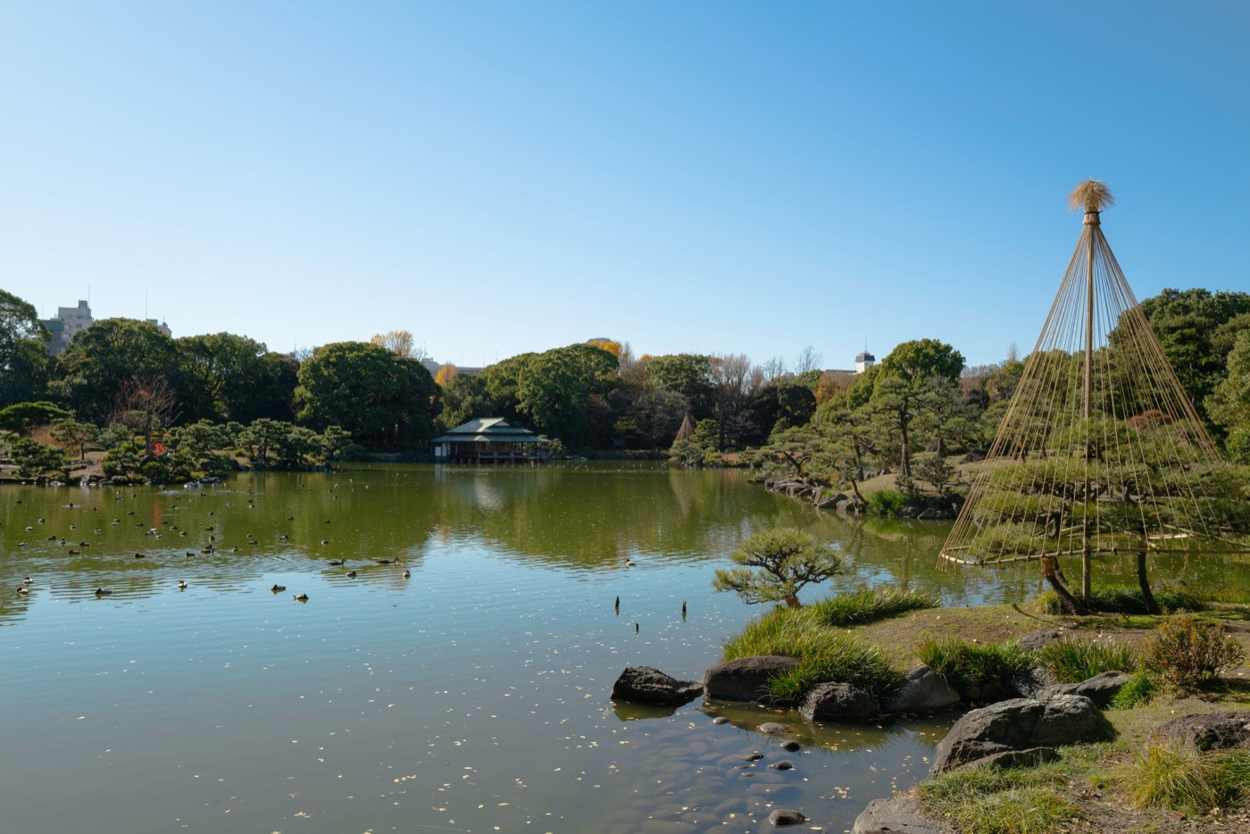kiyosumi gardens tokyos scenic retreat photo 7