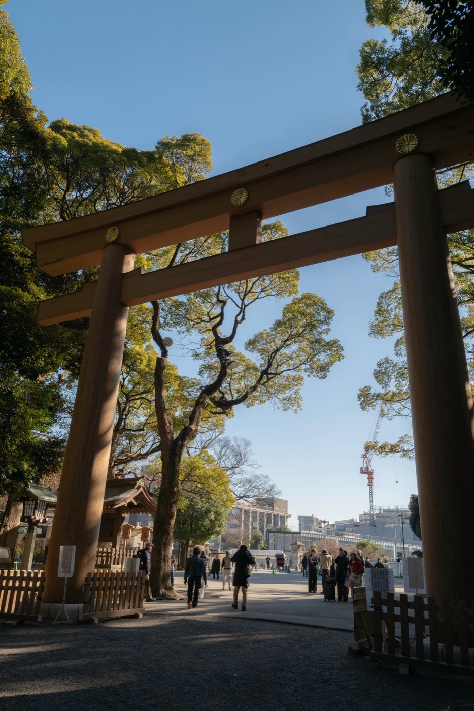 meiji jingu museum tradition meets modern design photo 2