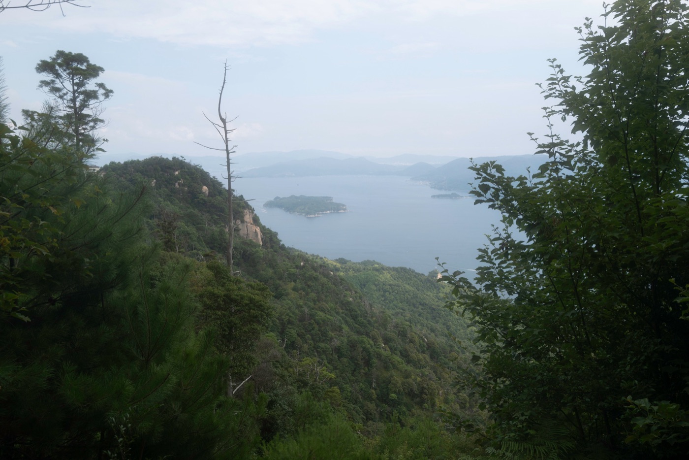 miyajima island the floating torii of hiroshima photo 5