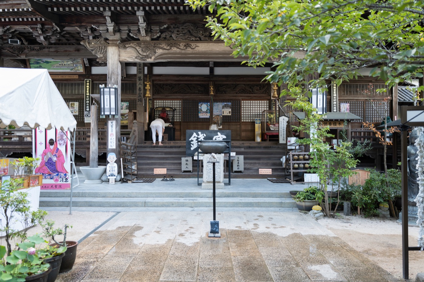 miyajima island the floating torii of hiroshima photo 17