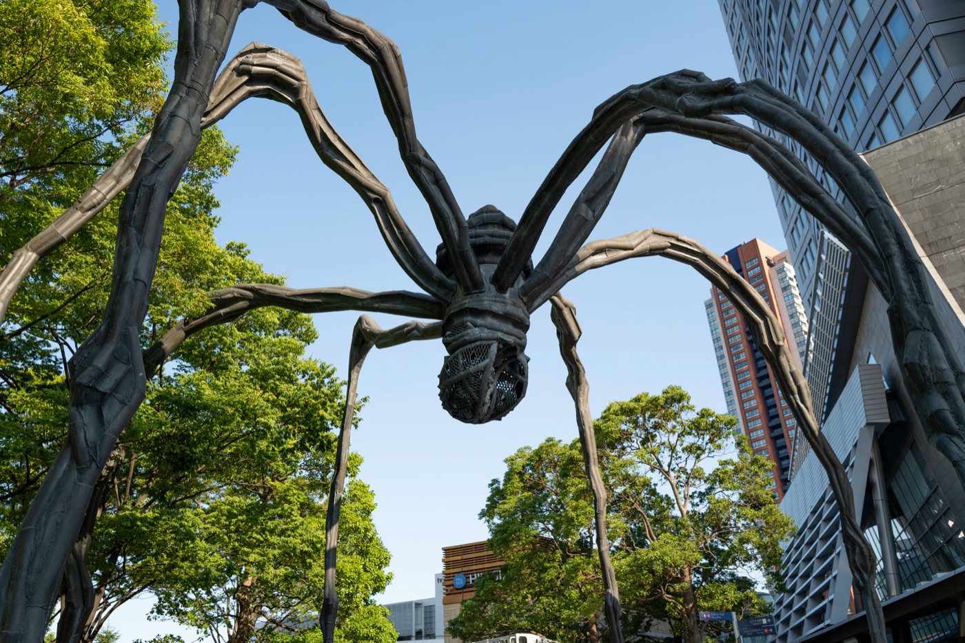 mori art museum tokyos contemporary art hub photo 17