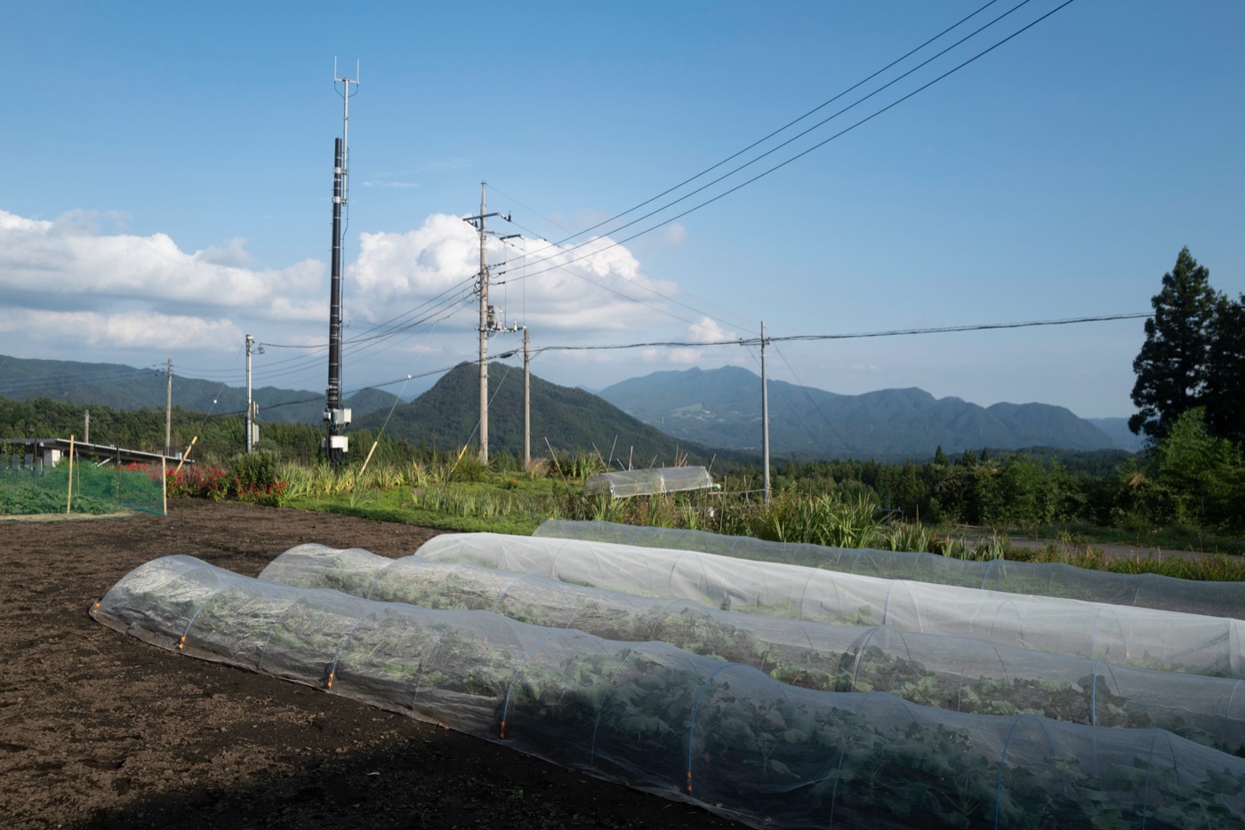 nakanojo biennale art in rural gunma photo 20