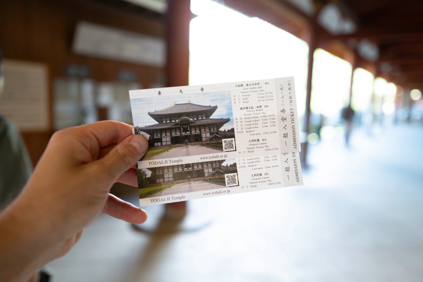nara japans cultural and natural haven photo 5