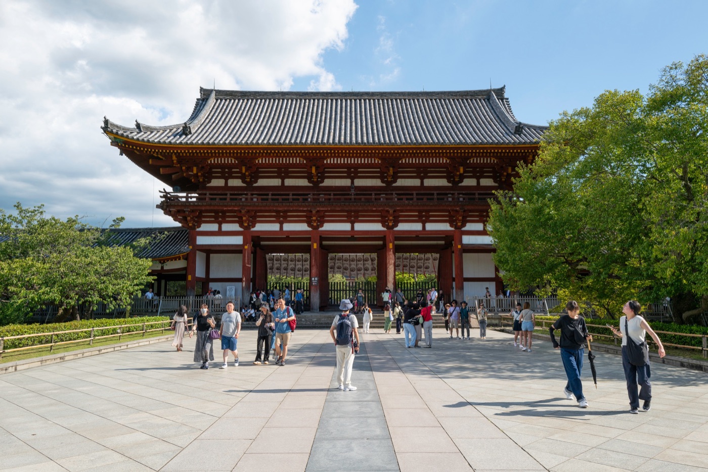 nara japans cultural and natural haven photo 6