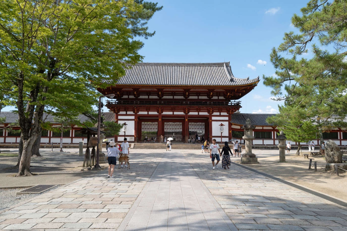 nara japans cultural and natural haven photo 11