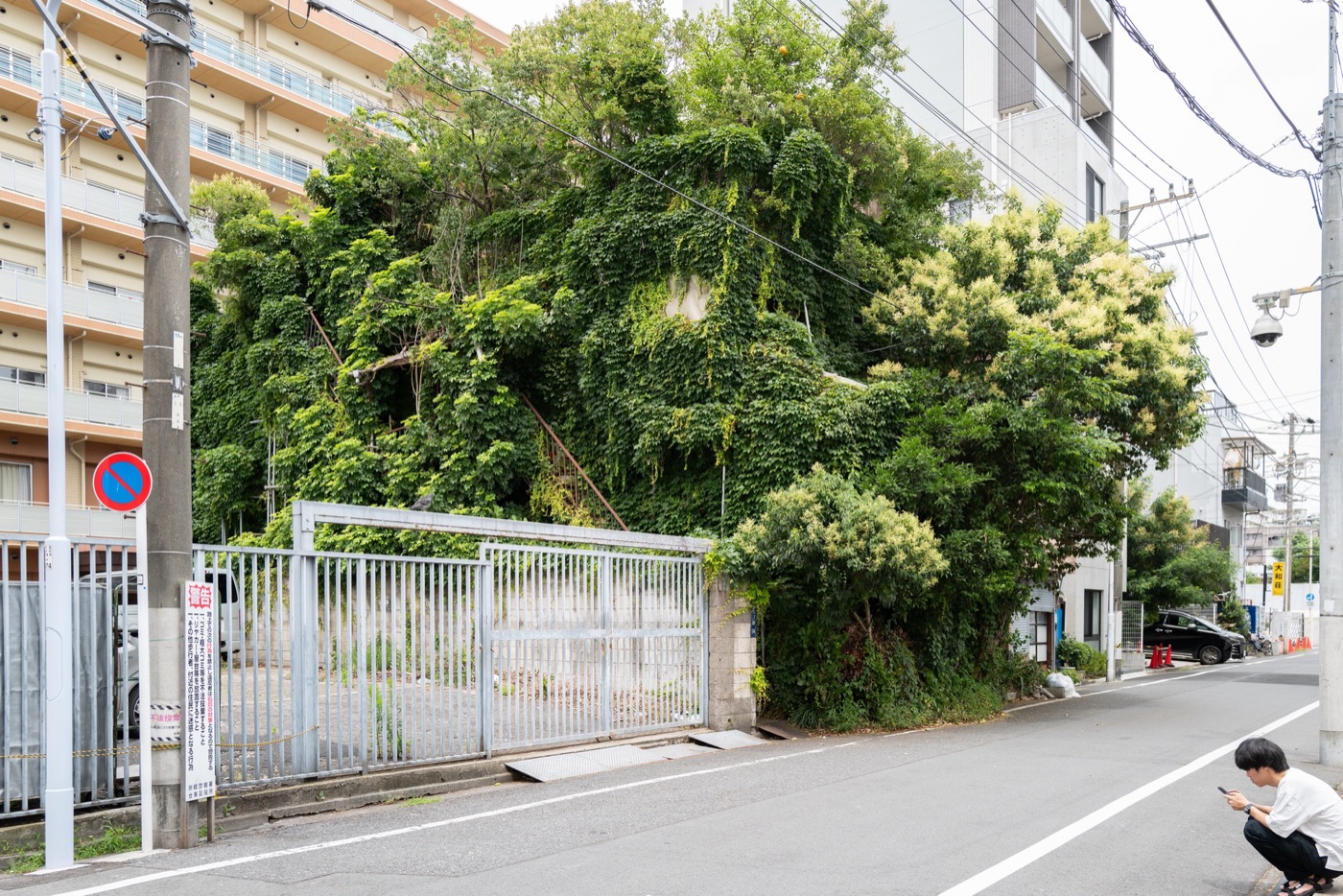 sanya tokyos forgotten neighborhood photo 4