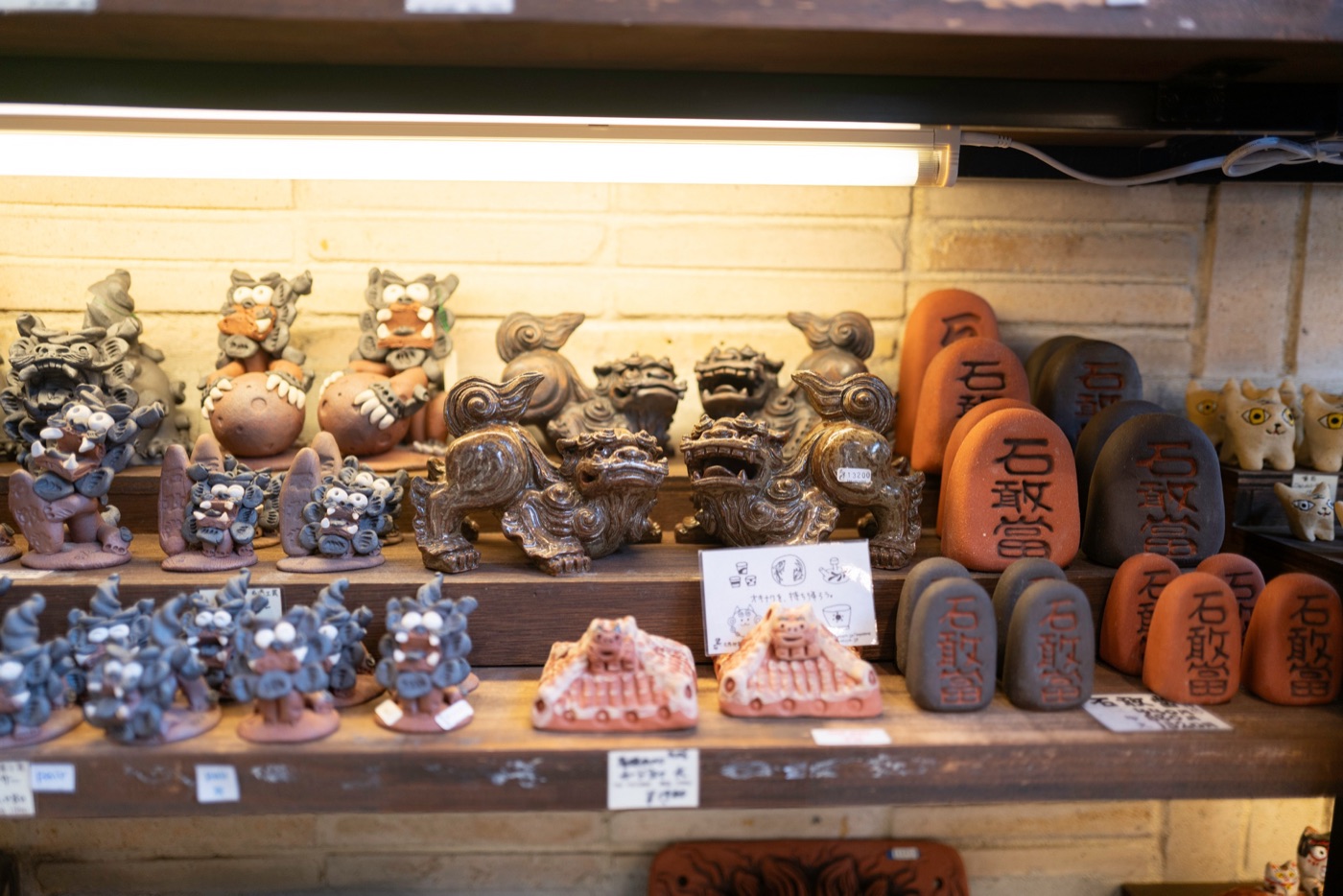 shisa okinawas mythical guardians photo 5