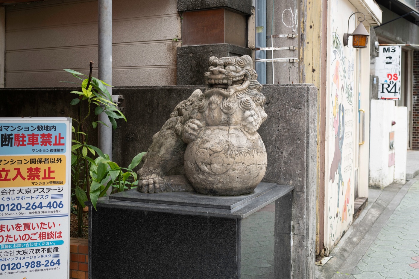 shisa okinawas mythical guardians photo 6