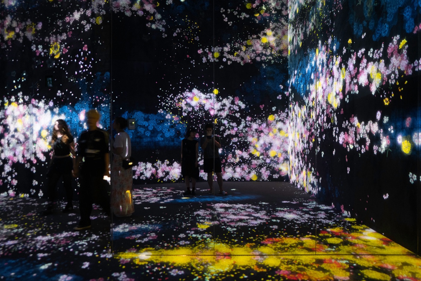 teamLab Borderless: Digitale Kunst ohne Grenzen