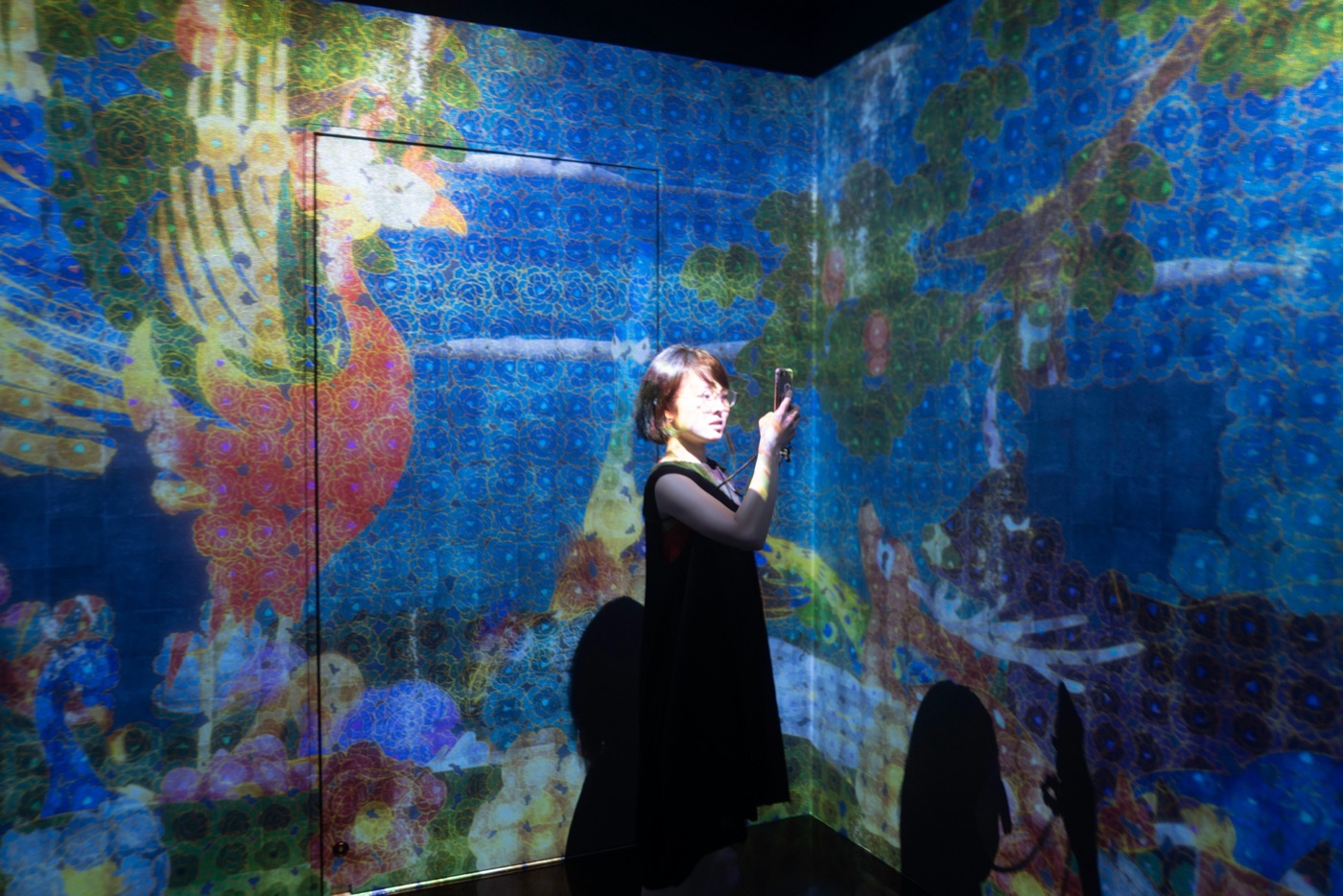 teamlab borderless digital art without boundaries photo 2