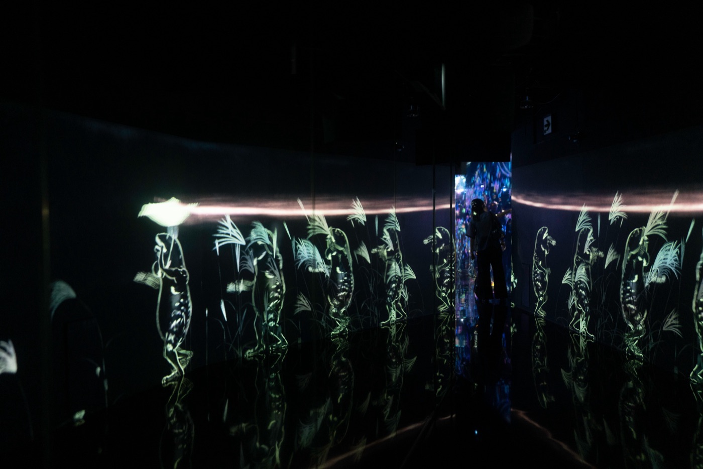 teamlab borderless digital art without boundaries photo 3