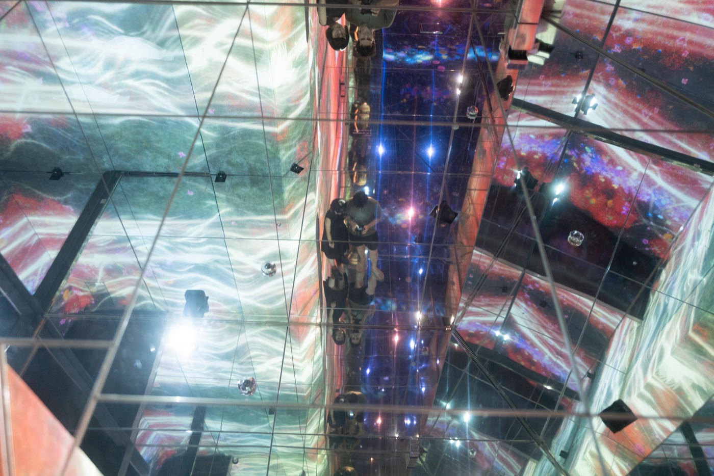 teamlab borderless digital art without boundaries photo 4