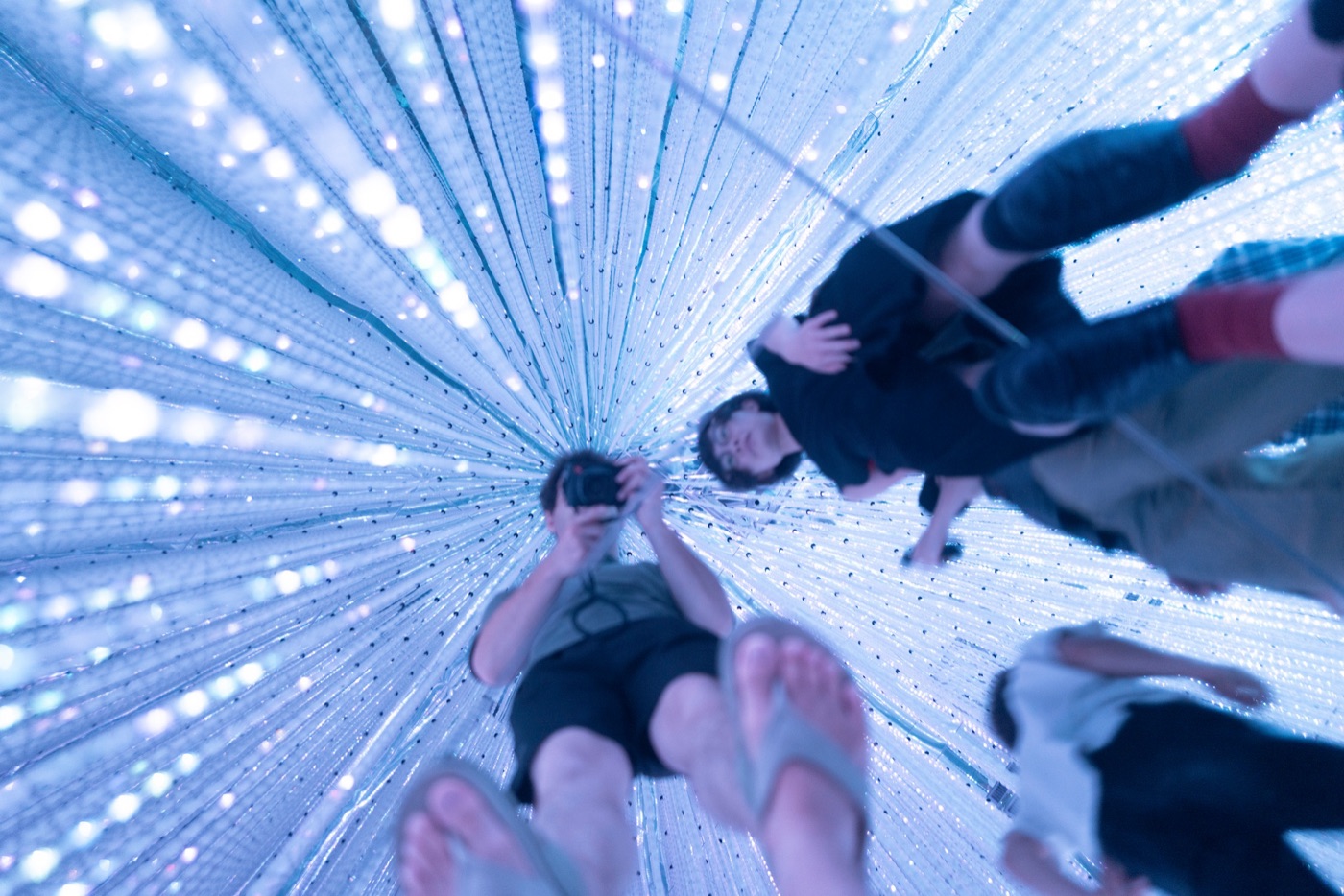 teamlab borderless digital art without boundaries photo 5