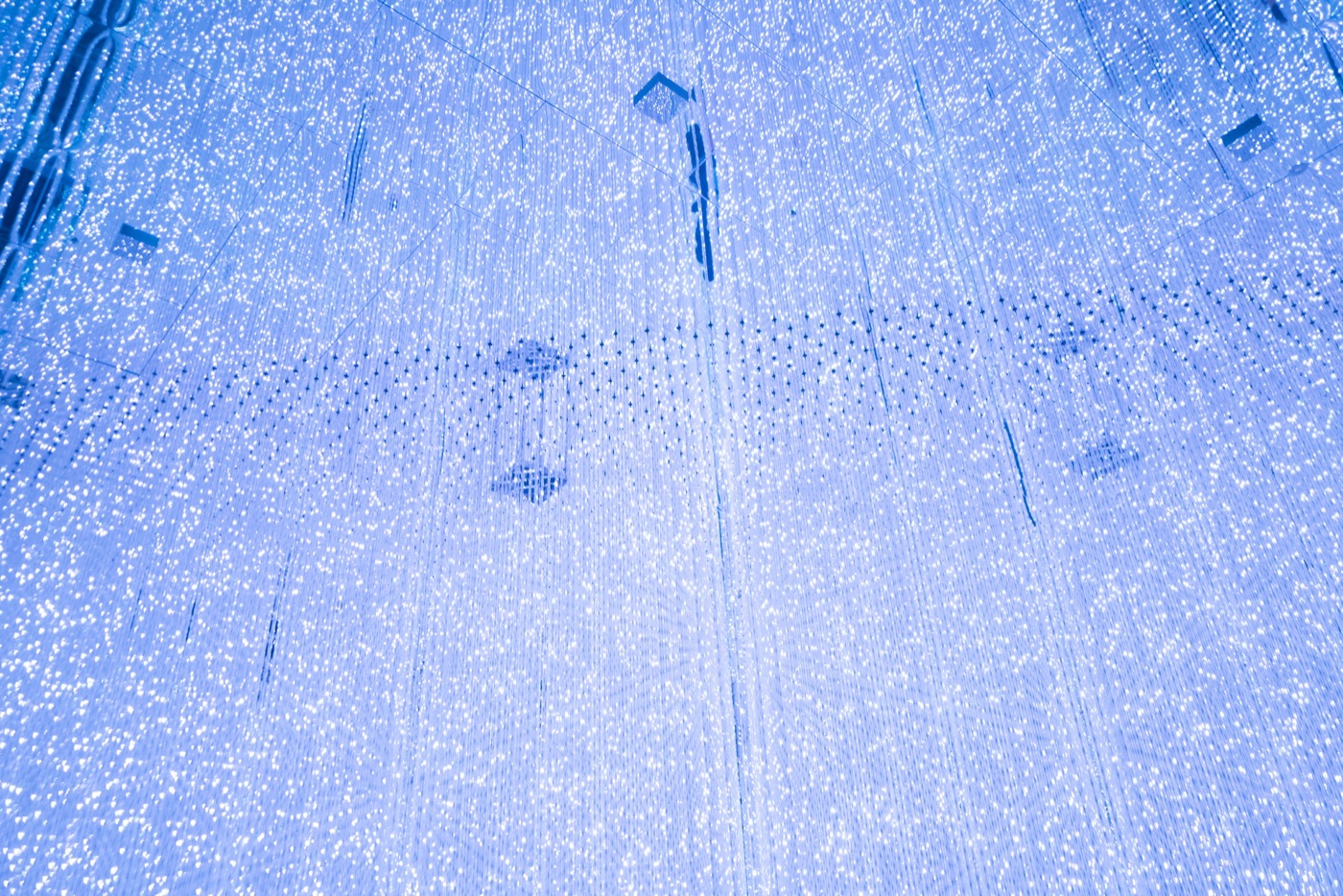 teamlab borderless digital art without boundaries photo 6