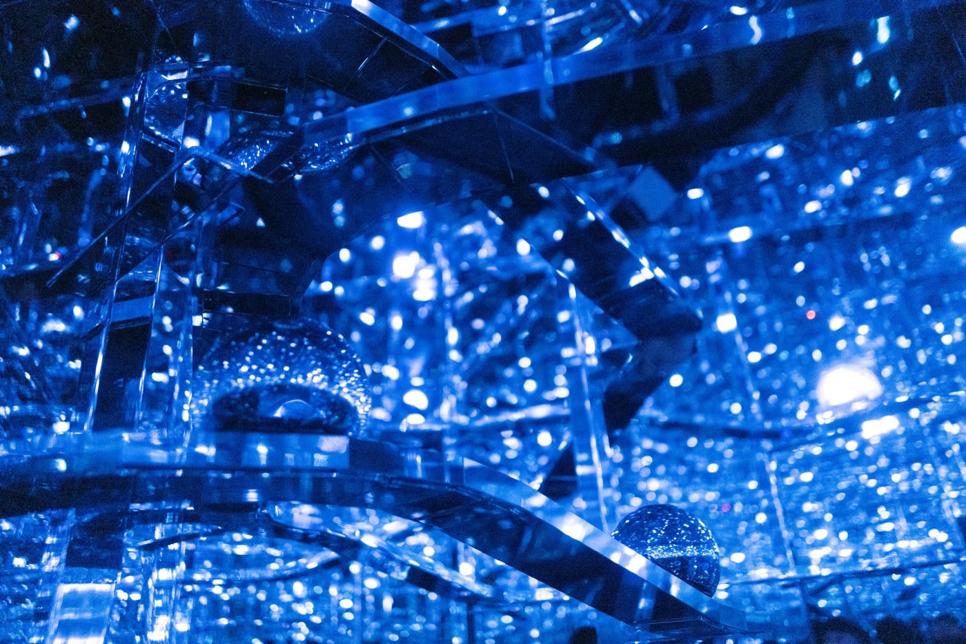 teamlab borderless digital art without boundaries photo 12