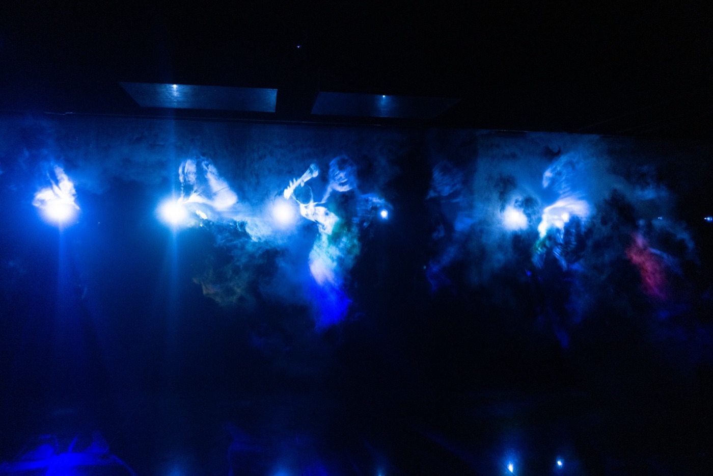 teamlab borderless digital art without boundaries photo 14