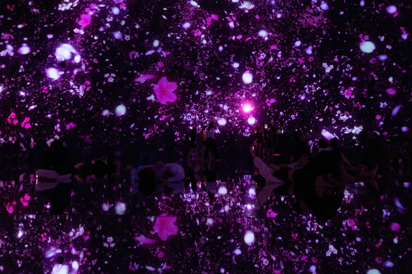 teamlab planets tokyos immersive art museum photo 15