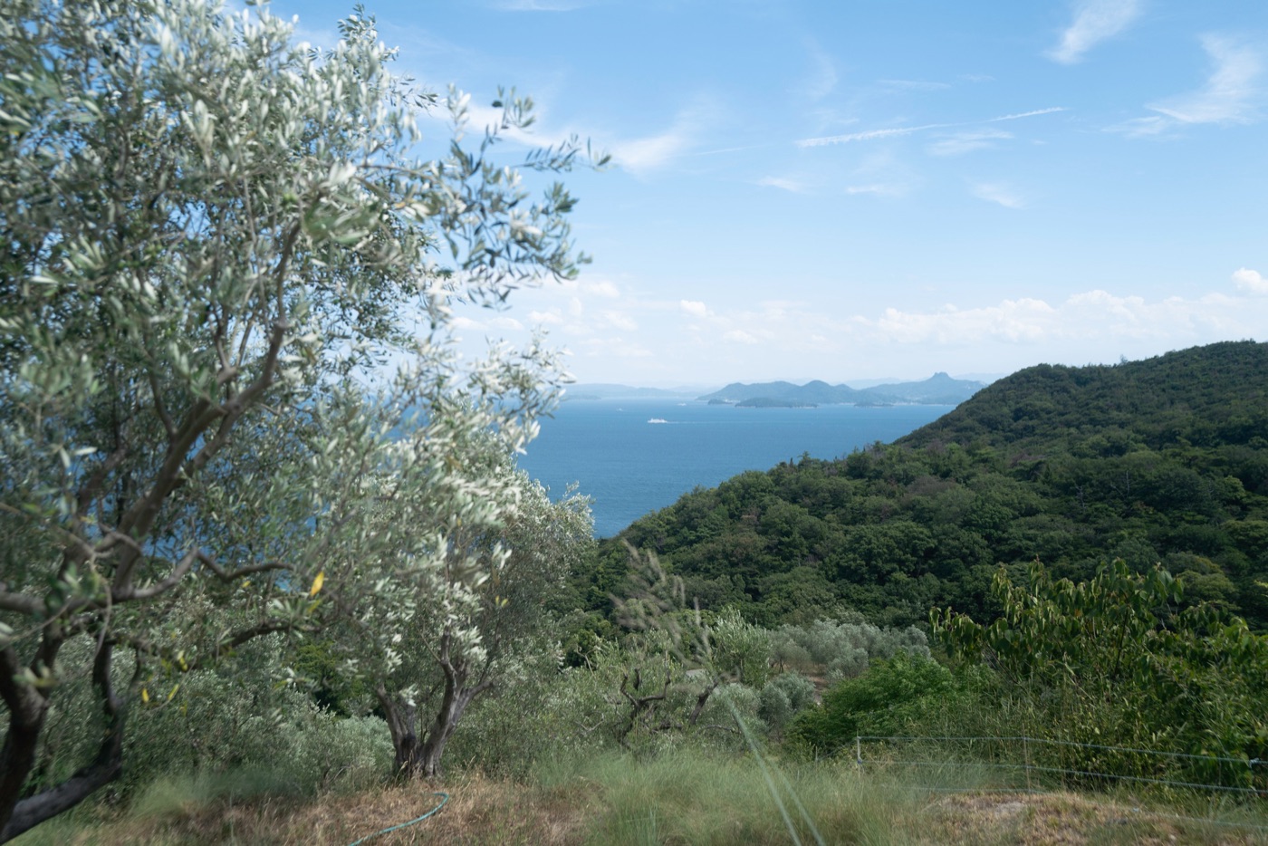teshima island photo 16