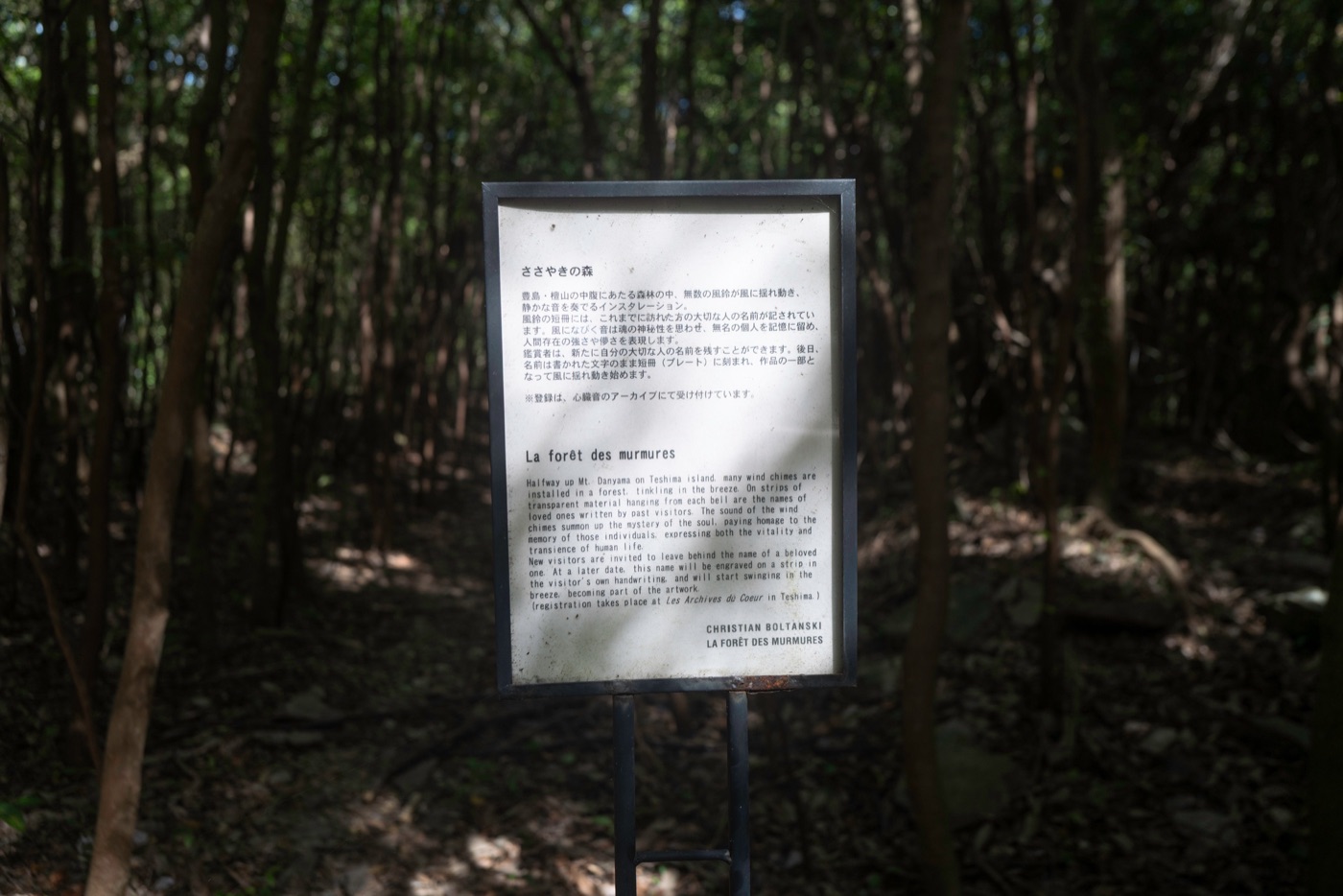 teshima island photo 17
