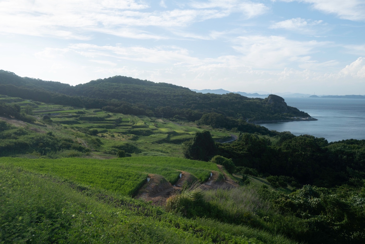 teshima island photo 20
