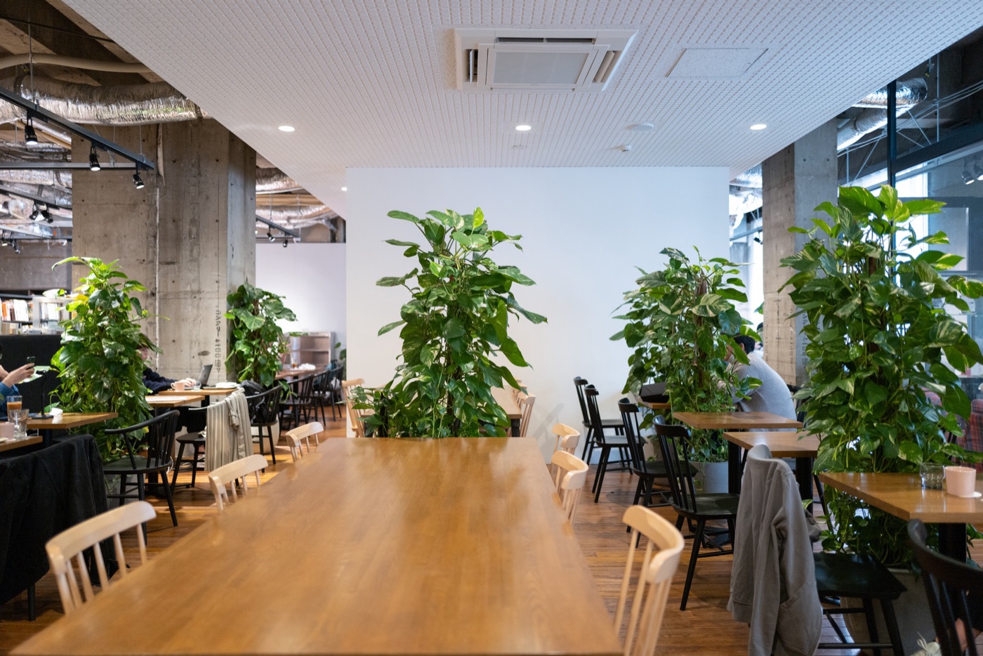verve coffee roasters roppongis artisanal coffee spot photo 5