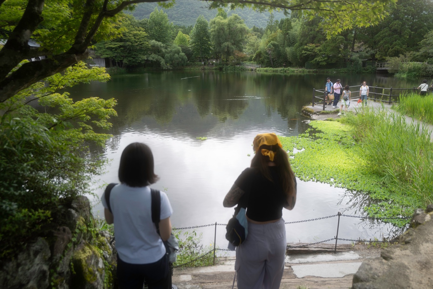 yufuin a tranquil onsen retreat in oita photo 15