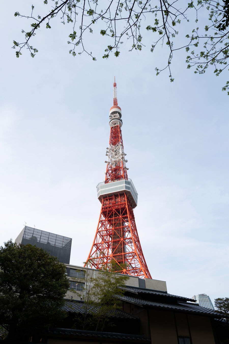 Tokyo Tower: A Landmark of Height and Lights