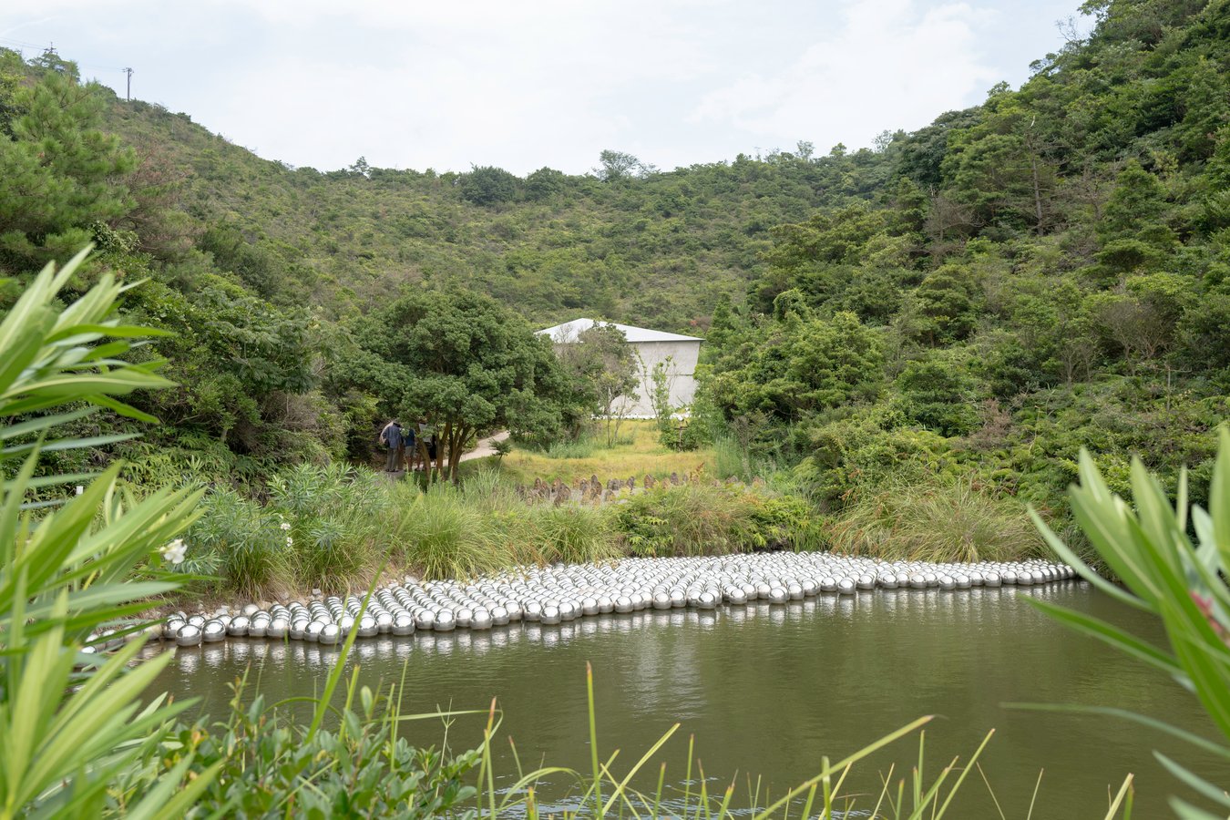 Valley Gallery: Art and Nature in Harmony on Naoshima