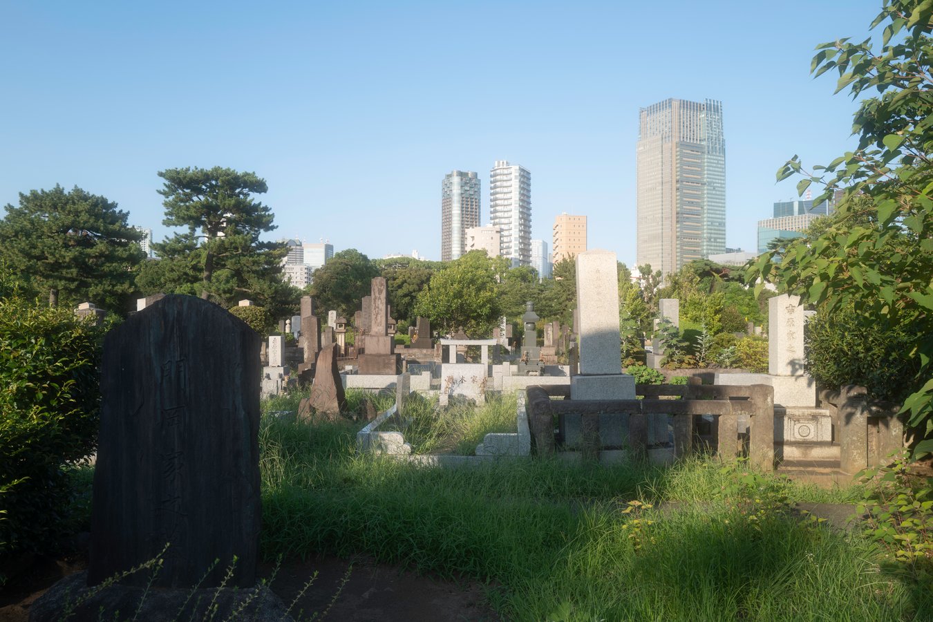 Aoyama Cemetery: Tokyo’s Historic Resting Place