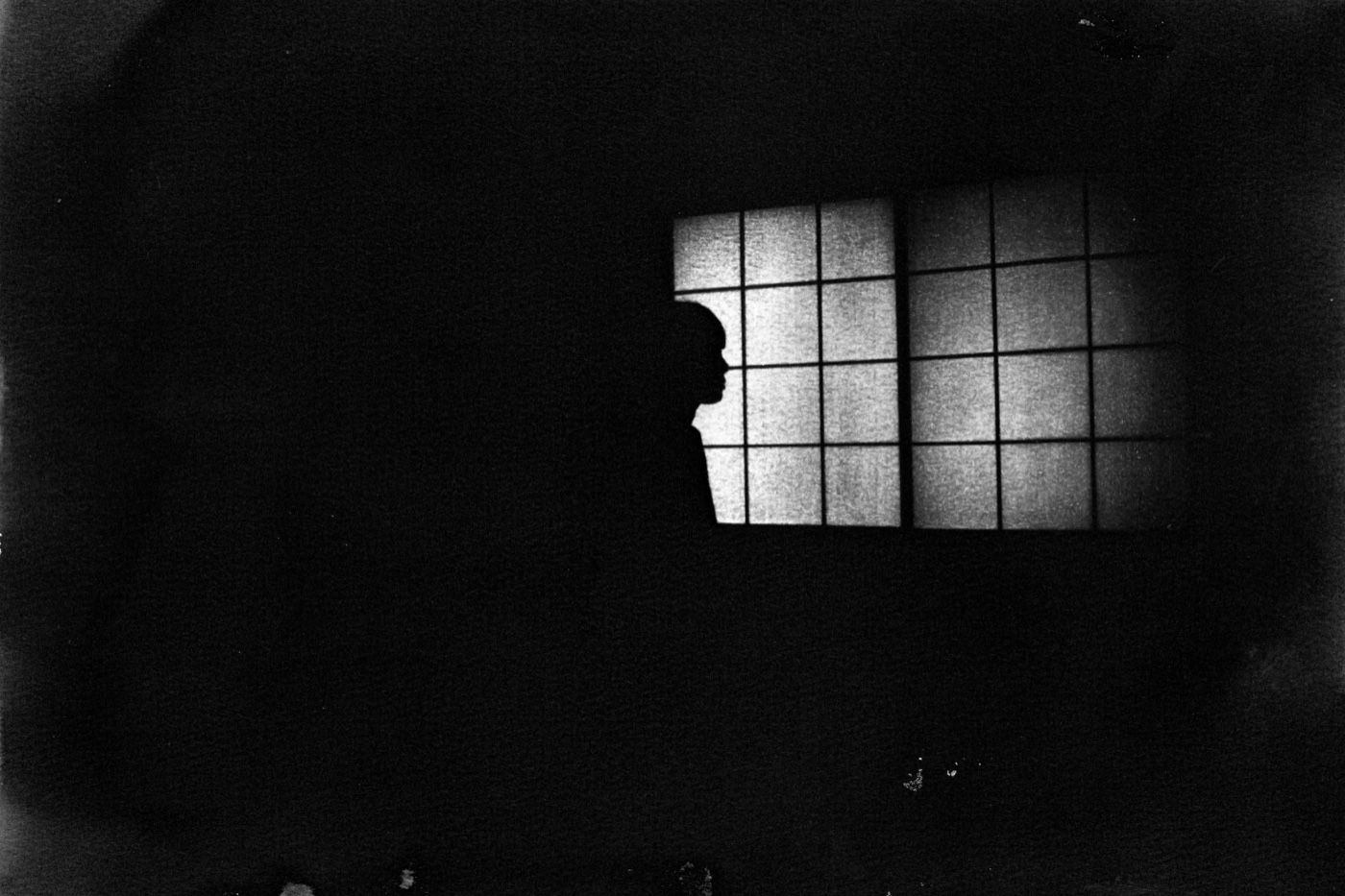 Silhouette against shoji screen at KAKU, cyanotype print